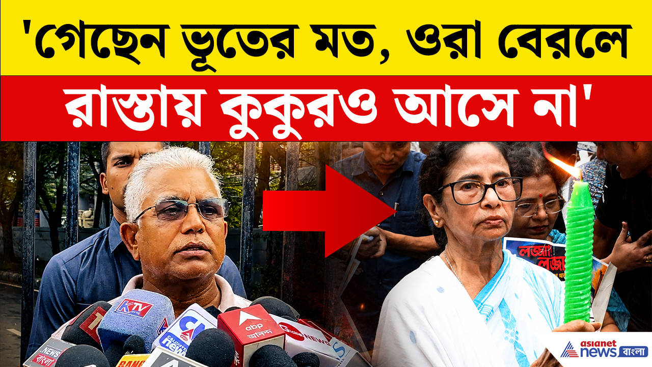 Dilip Ghosh: 'গেছেন ভূতের মত, ওরা বেরলে রাস্তায় কুকুরও আসে না' বারুইপুর কাণ্ড নিয়ে মমতাকে ধুয়ে দিলেন দিলীপ ঘোষ
