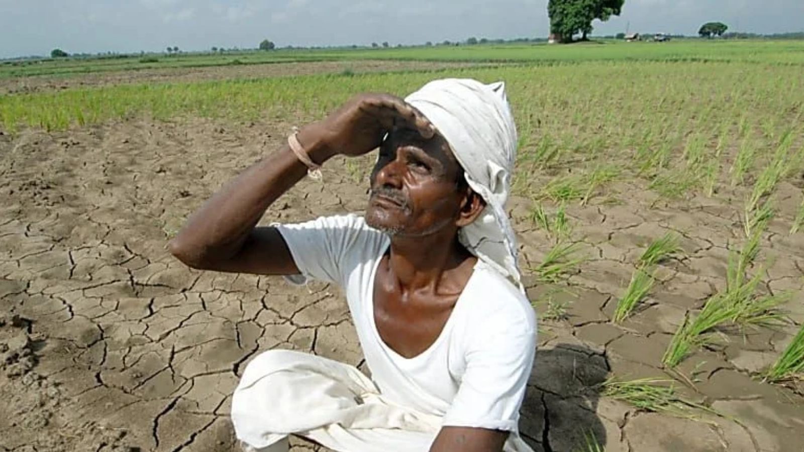 Drought