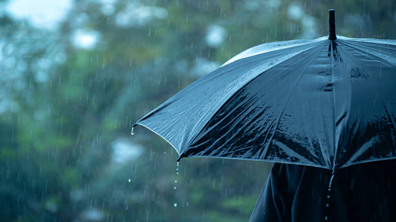 Rain