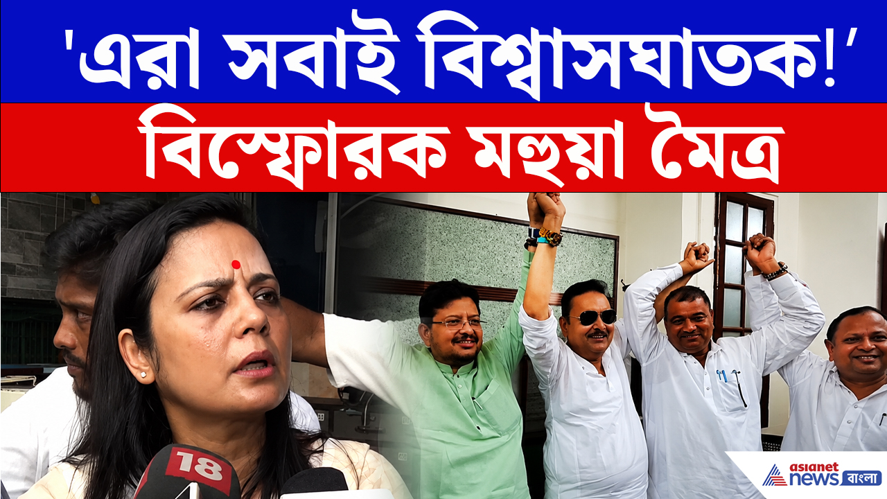 'কালীঘাট তৃণমূল বলে কিছু নেই'— মদন-ঋতব্রত ইস্যুতে কড়া বার্তা মহুয়ার