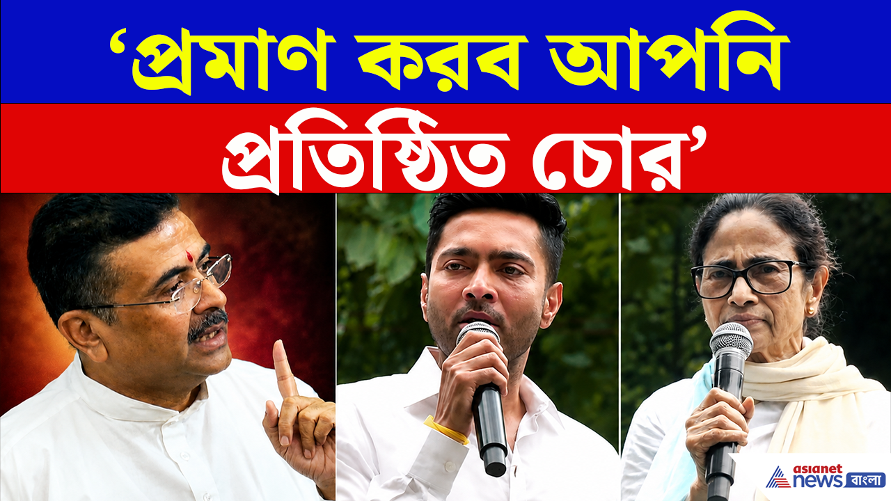 CM on Mamata: মমতার বিরুদ্ধে বড় পদক্ষেপ? 'আপনি বেঁচে থাকতেই সব দেখে যাবেন'! ঠিক কী বললেন মুখ্যমন্ত্রী?