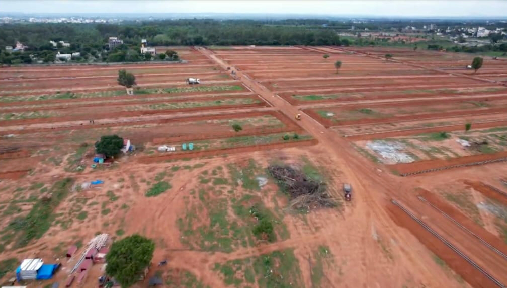 layout