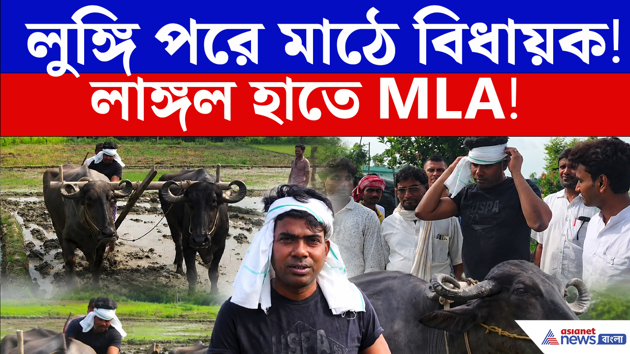 লুঙ্গি পরে মাঠে নেমে লাঙল ধরলেন বিধায়ক! কী বোঝালেন?