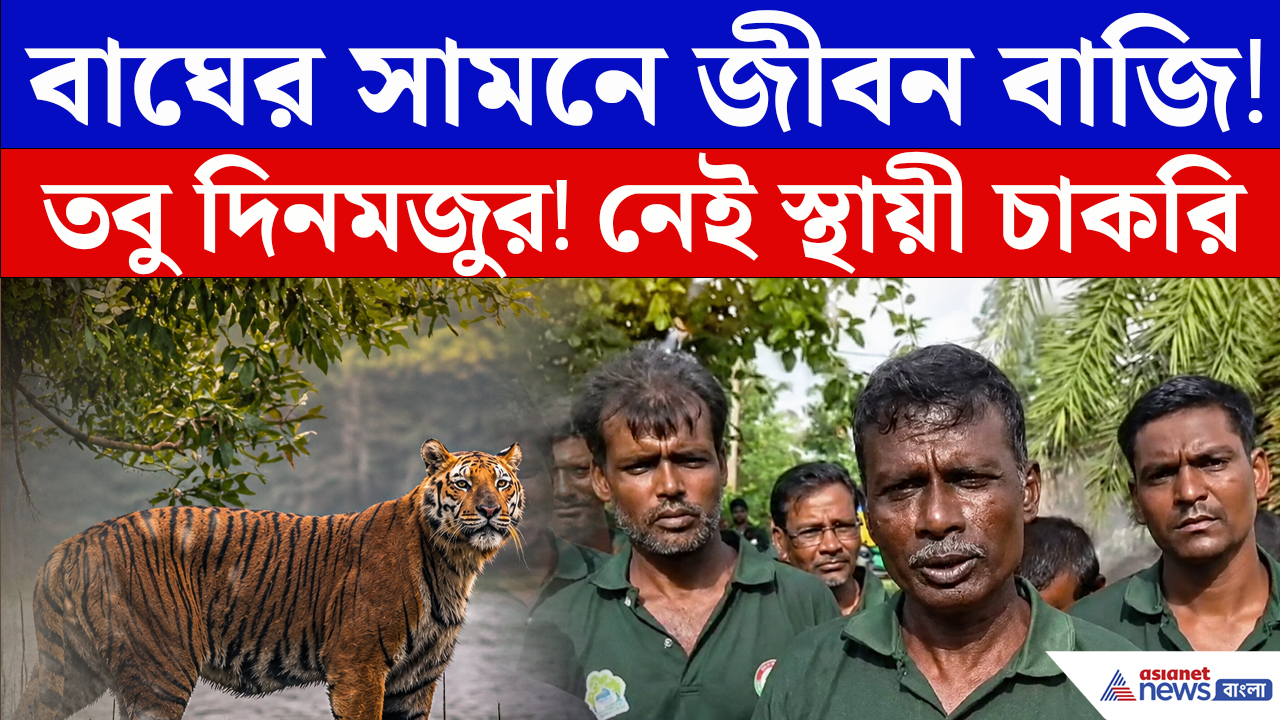 Sundarban News : বাঘ ধরেন, জীবন বাঁচান! অথচ নেই স্থায়ী চাকরি, নেই বিমা