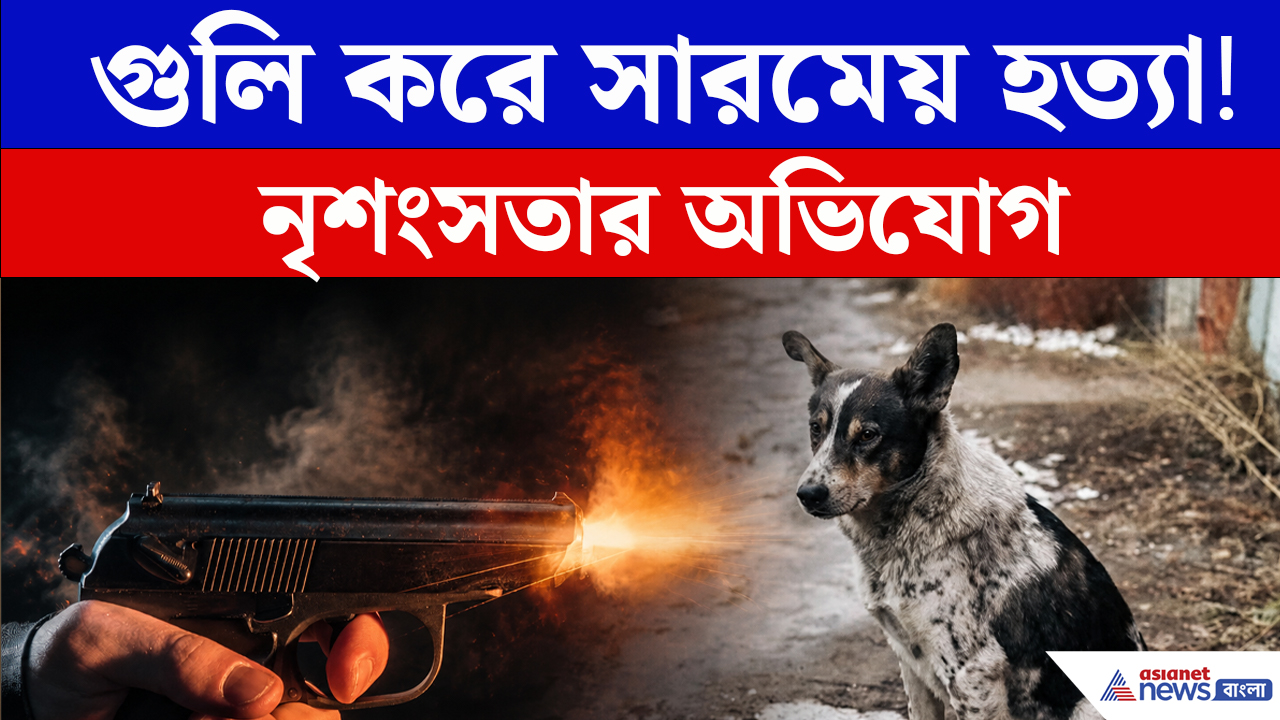 পথকুকুরকে গুলি করে হত্যার অভিযোগ! অভিযুক্ত আটক