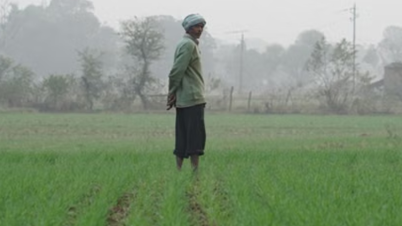 farmer