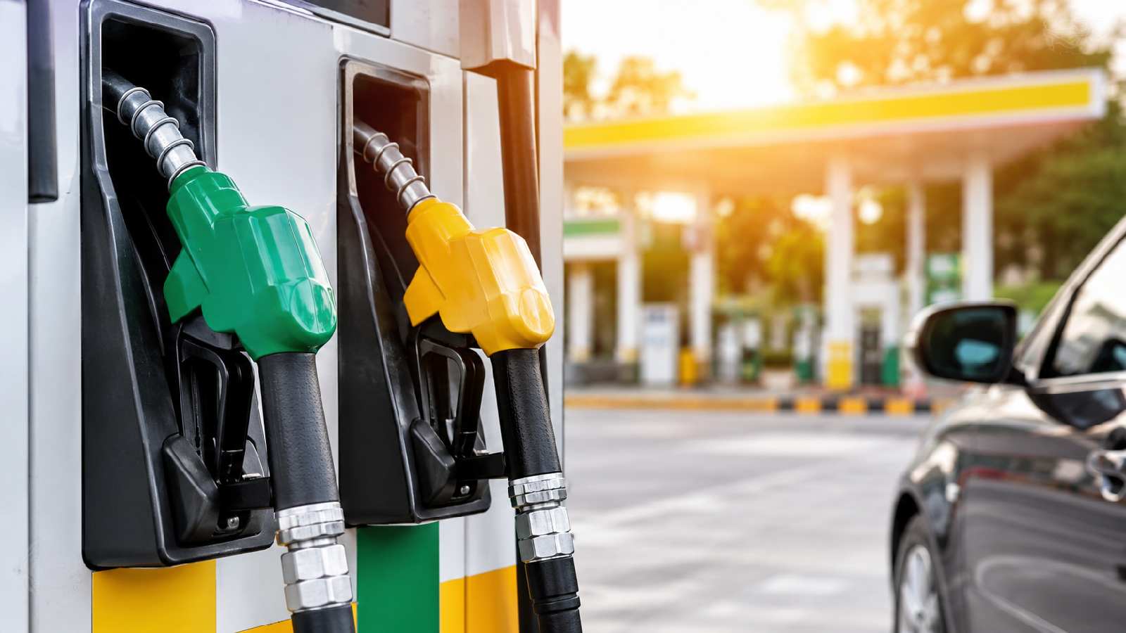 Petrol, Diesel Prices Today, August 24: Fuel Rates Stay Steady as Crude Oil Falls; Check City-Wise Prices