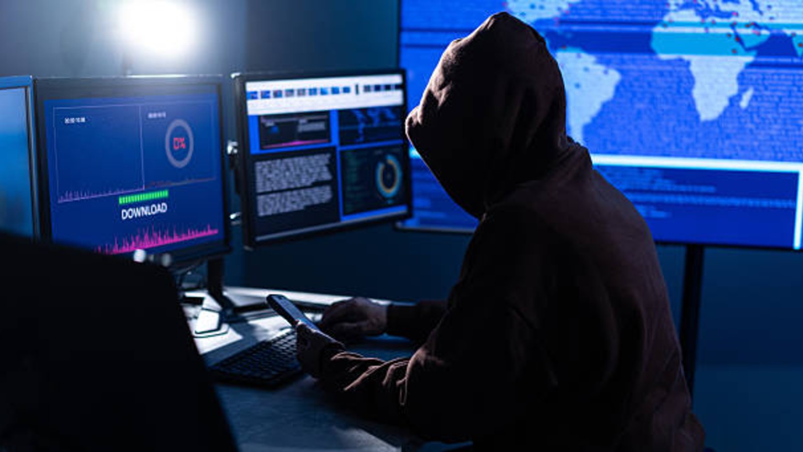 Cyber Fraud