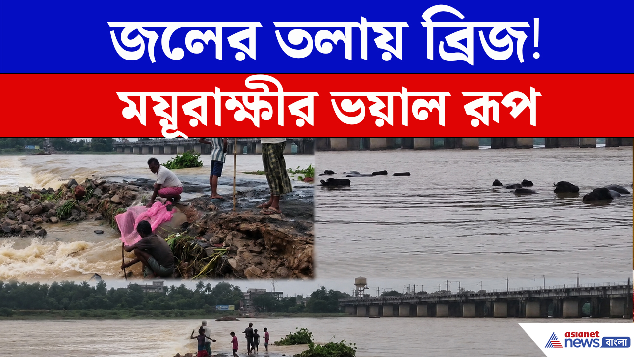 ময়ূরাক্ষীর স্রোতে তলিয়ে ব্রিজ! কীভাবে চলবে যাতায়াত