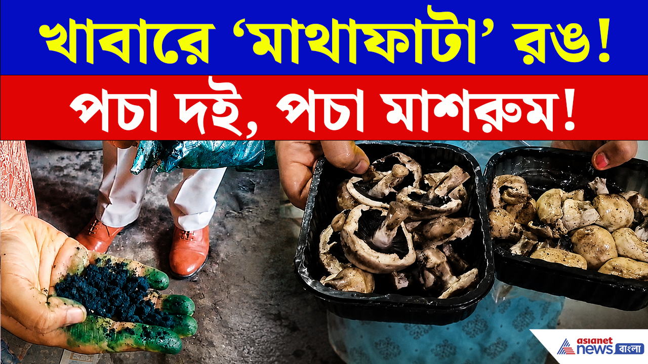 Food Safety: খাবারে মেশানো হত দোলের রং, উদ্ধার পচা মাংস, মেয়াদোত্তীর্ণ দুধ ও মাশরুম! বাদুড়িয়ায় চাঞ্চল্য