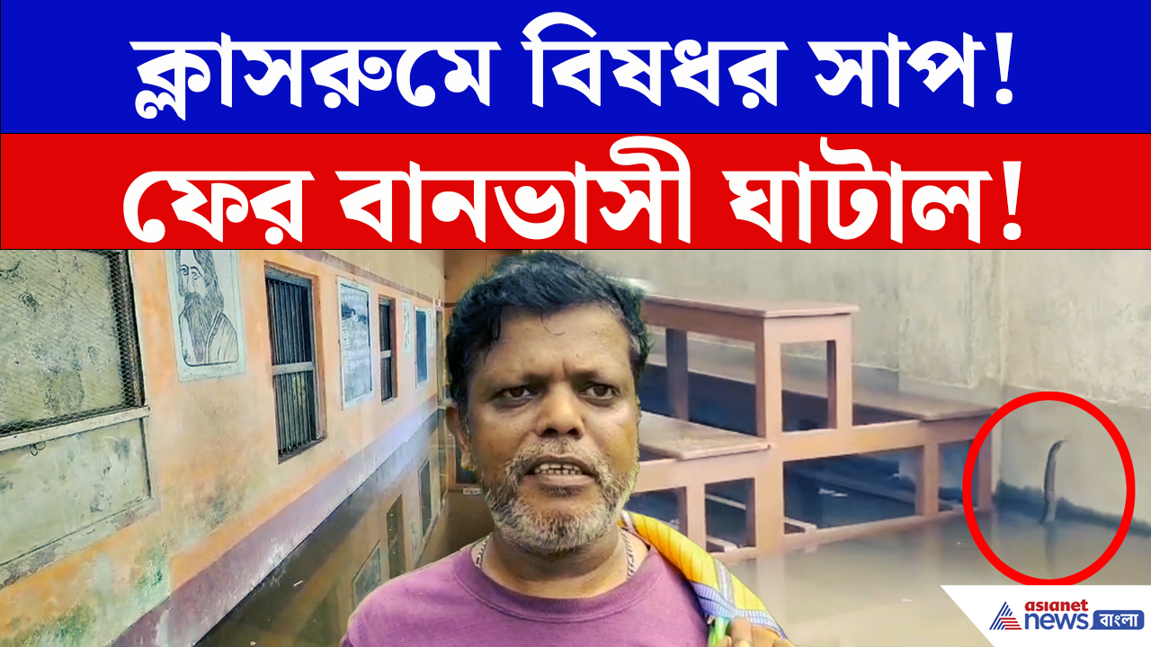 Ghatal Flood Latest News: ক্লাসরুমেই ঘুরছে বিষধর সাপ! পুজোর আগেই ফের বানভাসী ঘাটাল