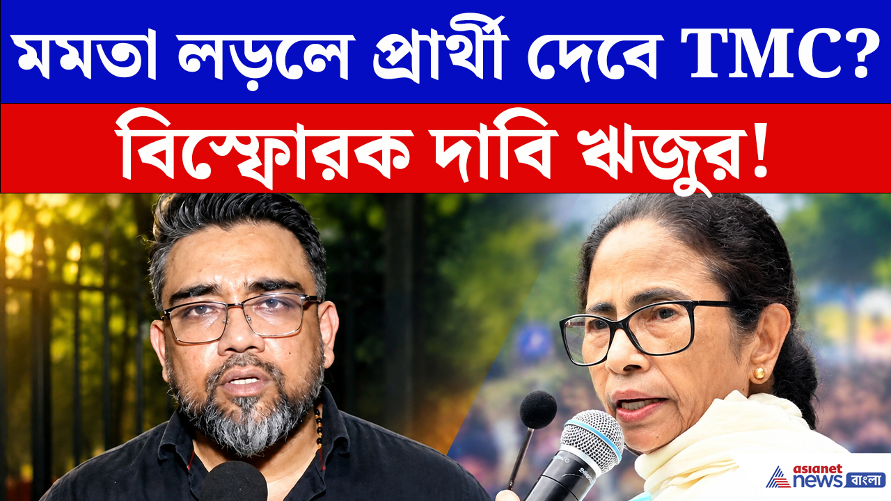 Riju Dutta Latest Speech: মমতা লড়লে প্রার্থী দেবে TMC? বিস্ফোরক দাবি ঋজু দত্তর