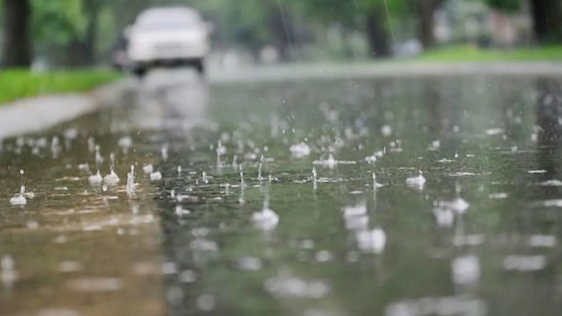 Kolkata Weather LATEST Update: Low Pressure To Bring Rain To South Bengal Right Before Durga Puja