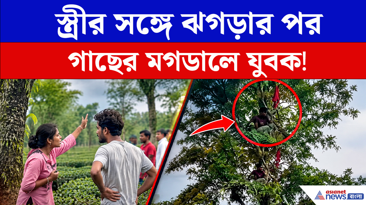 স্ত্রীর সঙ্গে ঝগড়া, তারপরই গাছের মগডালে! যুবকের কাণ্ডে চাঞ্চল্য