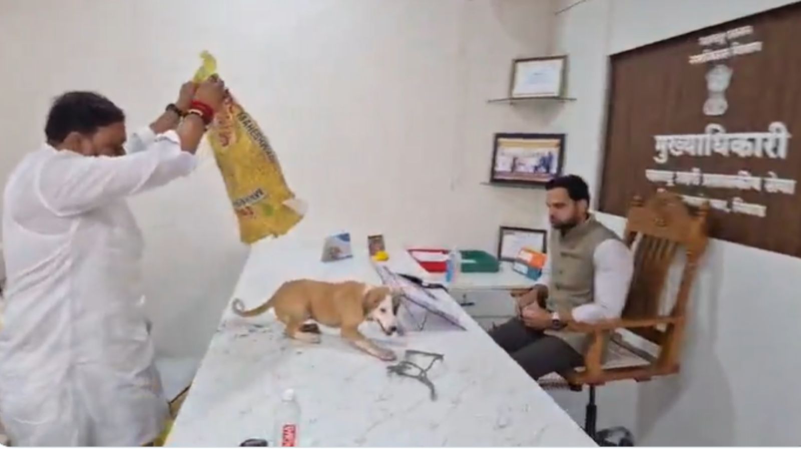 Nashik stray dog protest