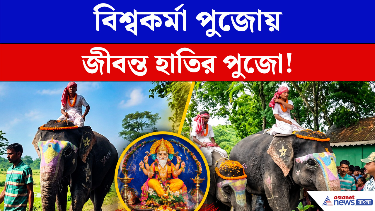 বিশ্বকর্মা পুজোয় জীবন্ত হাতির পুজো! বীর-কাবেরীকে দেখতে উপচে পড়ল ভিড়