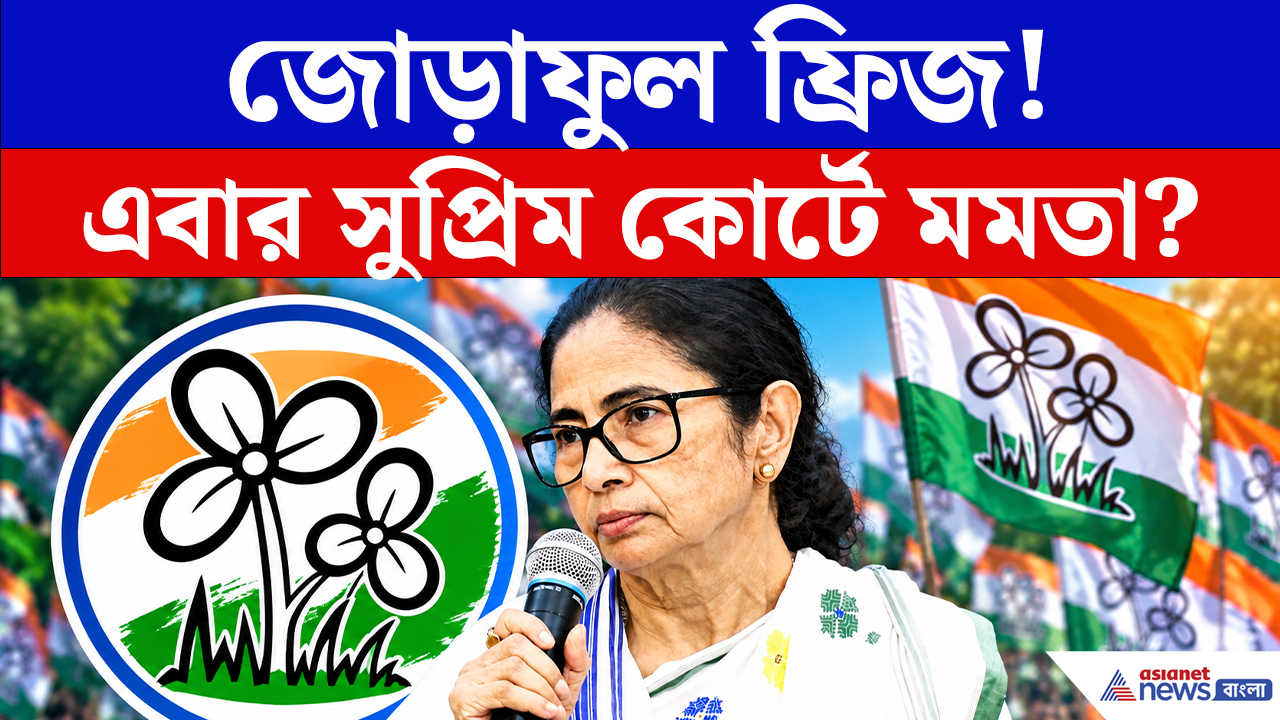 Mamata Banerjee: ‘জোড়াফুল’ ফেরত পেতে সুপ্রিম কোর্টে মমতা? কমিশনের সিদ্ধান্তের বিরুদ্ধে বড় আইনি লড়াই