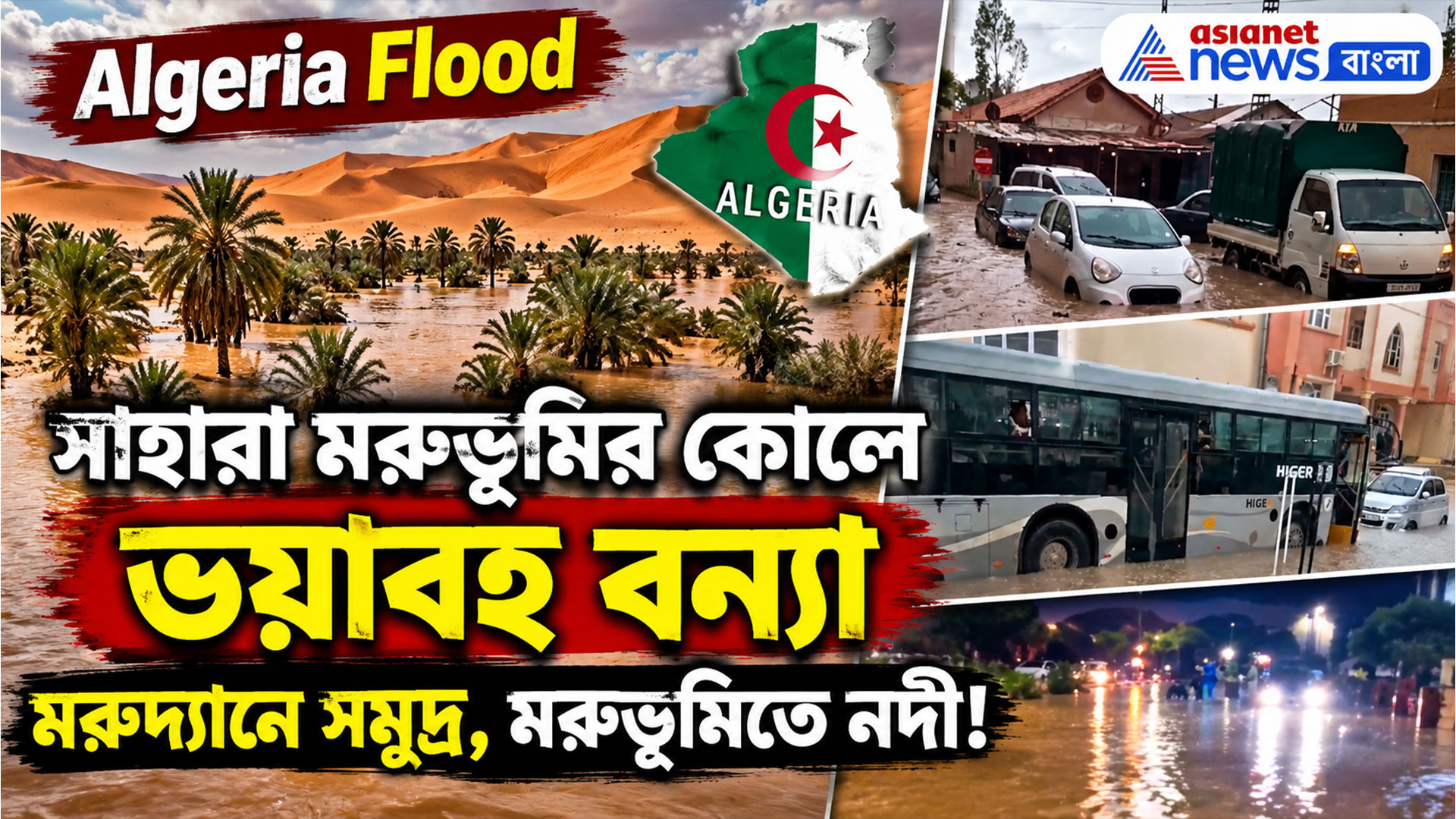 Algeria Flood: সাহারা মরভূমির কোলে ভয়াবহ বন্যা, রাস্তায় ভাসছে উট, পুরো জলের তলায় খেজুর গাছও