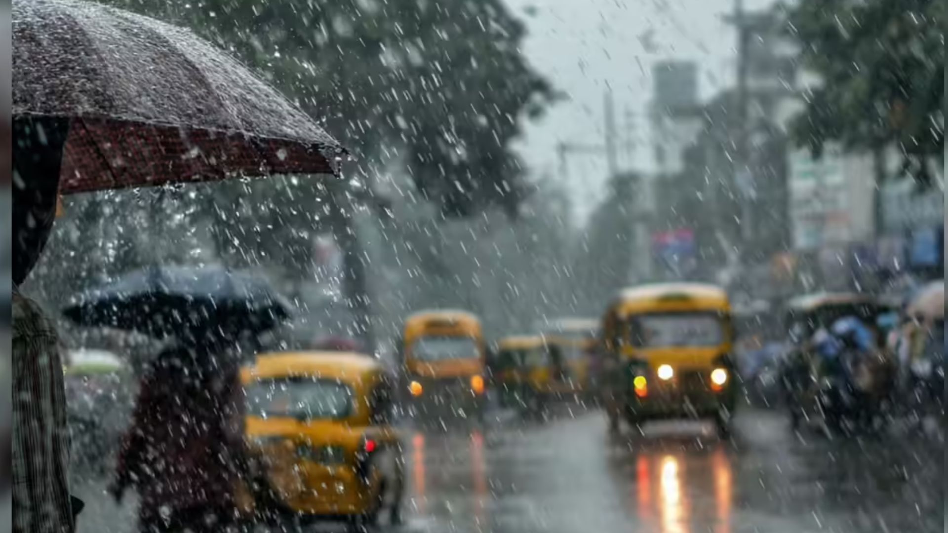 Karnataka Rain Alert: IMD Warns of Heavy Showers in These Districts Today