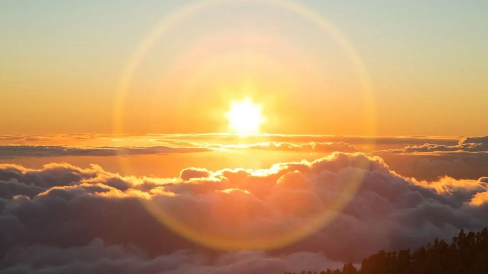 sunlight