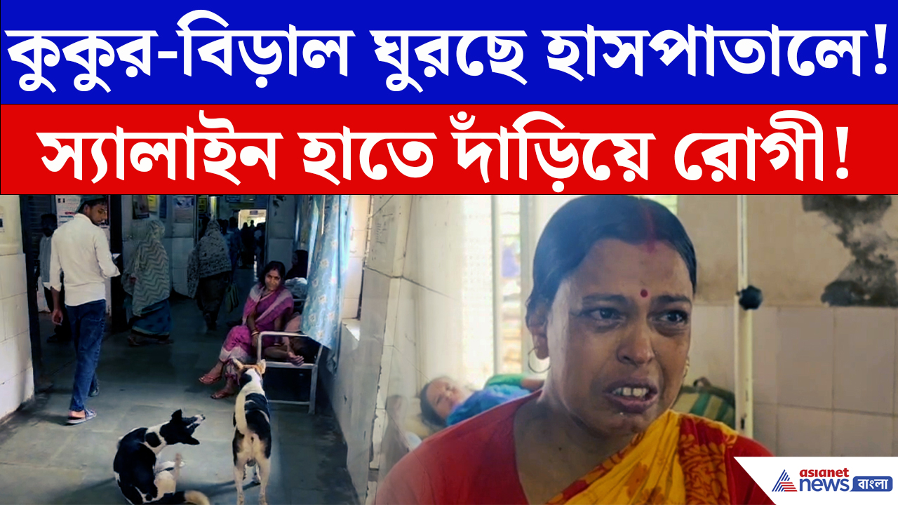 Malda News: হাসপাতালে কুকুর-বিড়াল, বেডের আকাল! মালদায় স্বাস্থ্য পরিষেবা নিয়ে উঠছে বড় প্রশ্ন