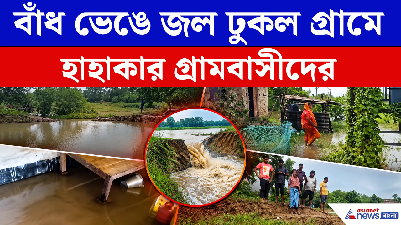 Purba Medinipur News : জলস্তর বেড়ে বাঁধ ভেঙে জল ঢুকল গ্রামে, হাহাকার গ্রামবাসীদের