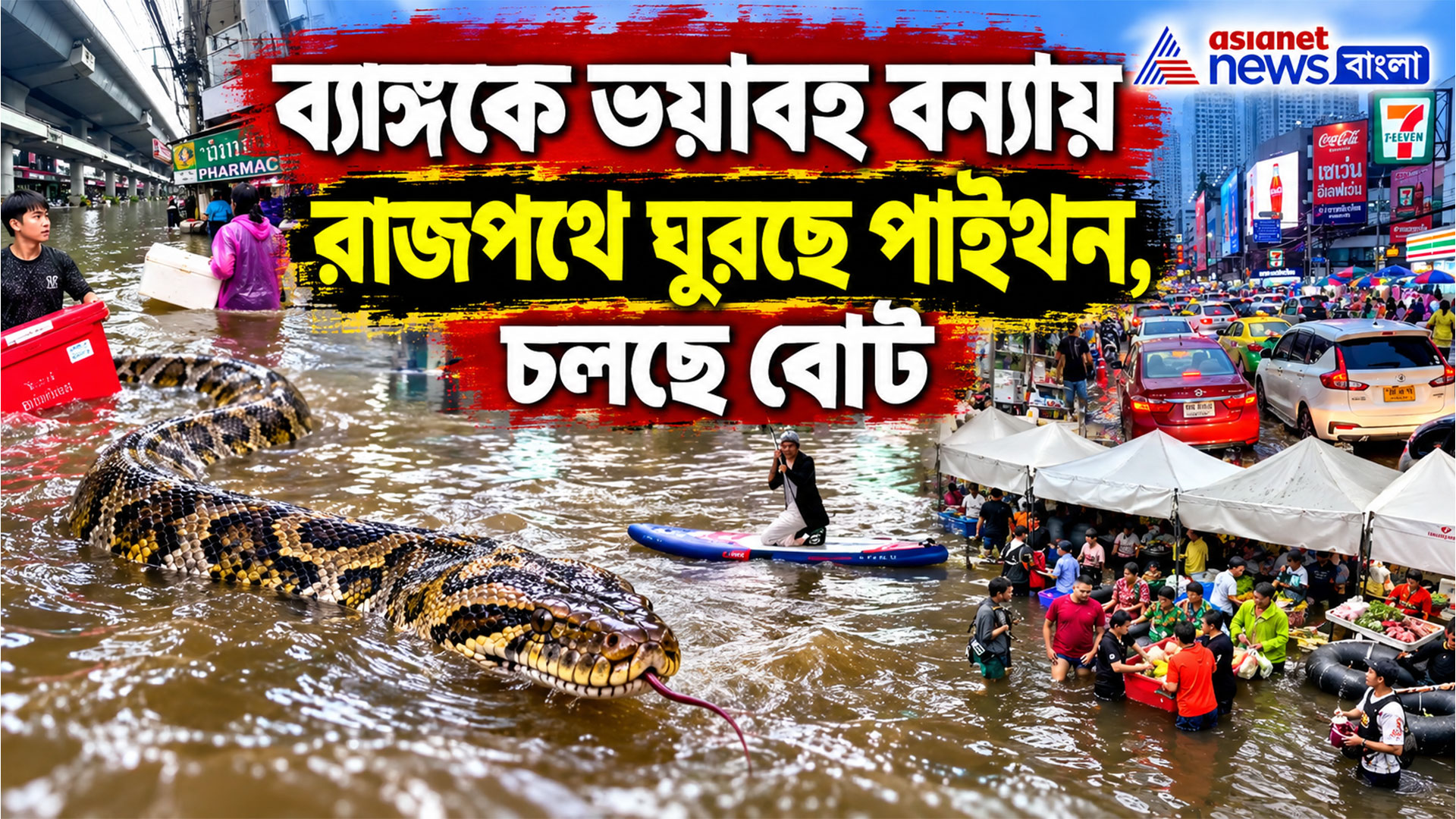 ৩২০ মিমি বৃষ্টিতে ব্য়াঙ্ককের হাল আরও খারাপ, রাজপথে চলছে বোট, মানুষের সঙ্গে হাঁটছে সাপ
