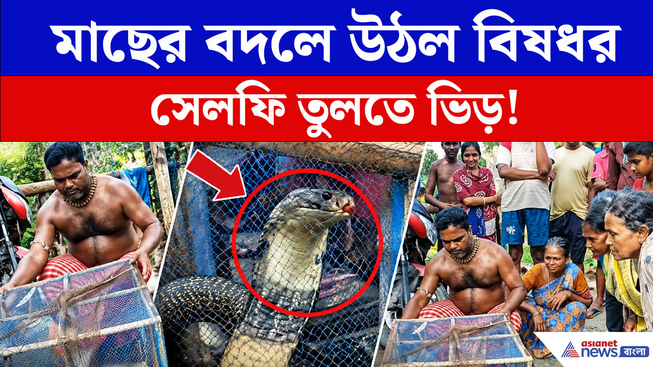 জেলের জালে আটকে গেল বিশাল বিষধর সাপ