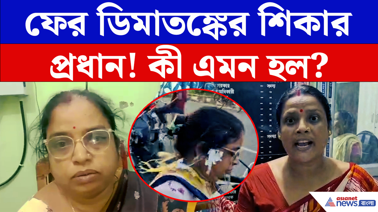 Nadia News: অডিট চলাকালীন হইচই, প্রধানকে লক্ষ্য করে ডিম! পঞ্চায়েতে তুমুল কাণ্ড