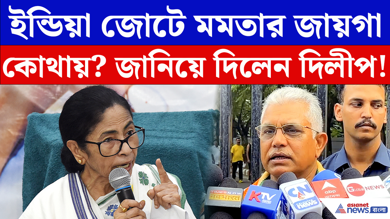 Dilip Ghosh On Mamata INDIA Alliance: মমতা-INDIA সমীকরণ নিয়ে মুখ খুললেন দিলীপ! করলেন তীব্র কটাক্ষ
