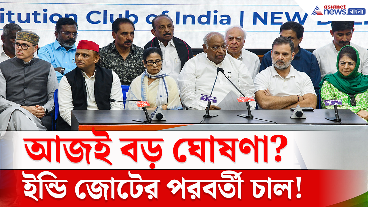 INDIA Bloc Meeting: ডিএমকে-আপ নেই, তবুও দিল্লিতে গুরুত্বপূর্ণ বৈঠক! কী সিদ্ধান্ত নেবে ইন্ডি জোট?