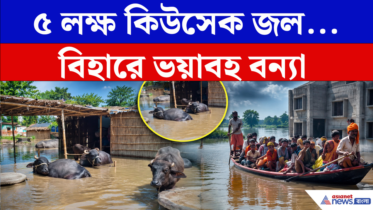 ৫ লক্ষ কিউসেক জল ছাড়তেই ভয়াবহ বন্যা, জলে তলায় বহু গ্রাম