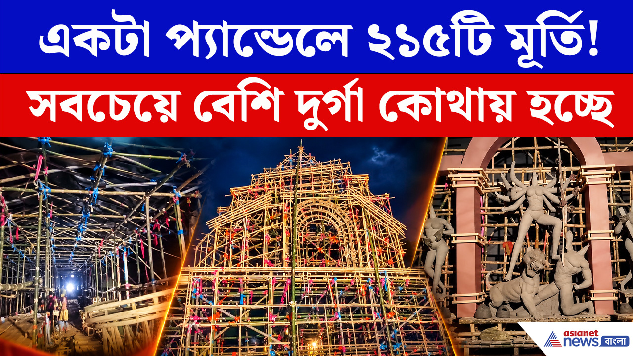 Durga Puja 2026: এক প্যান্ডেলে দেবী দুর্গার ১০৮টি রূপ! সঙ্গে ২১৫টি মূর্তি