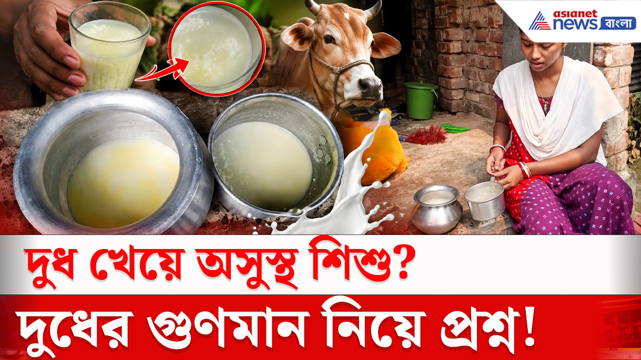 Nadia News : শান্তিপুরে দুধে ভেজালের অভিযোগ! দুধ খেয়ে অসুস্থ শিশু, বাড়ছে উদ্বেগ