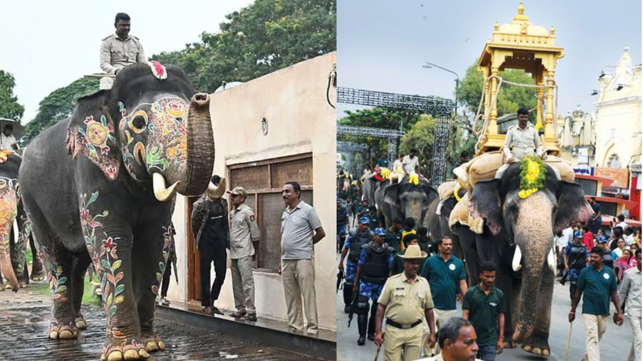 Mahendra Elephant Fails Wooden Ambari Rehearsal Again