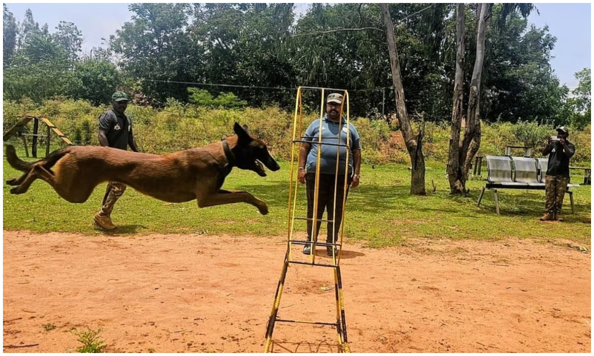 Karnataka forest dog squad
