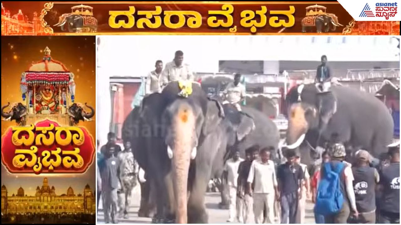 Mysuru Dasara