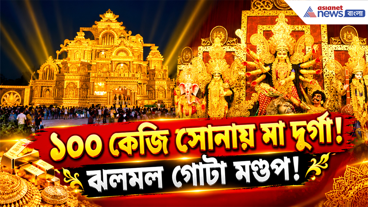 Siliguri Durga Puja 2026: ১০০ কেজি সোনায় সেজে উঠলেন মা দুর্গা! শিলিগুড়ির পুজো মণ্ডপে চোখধাঁধানো চমক