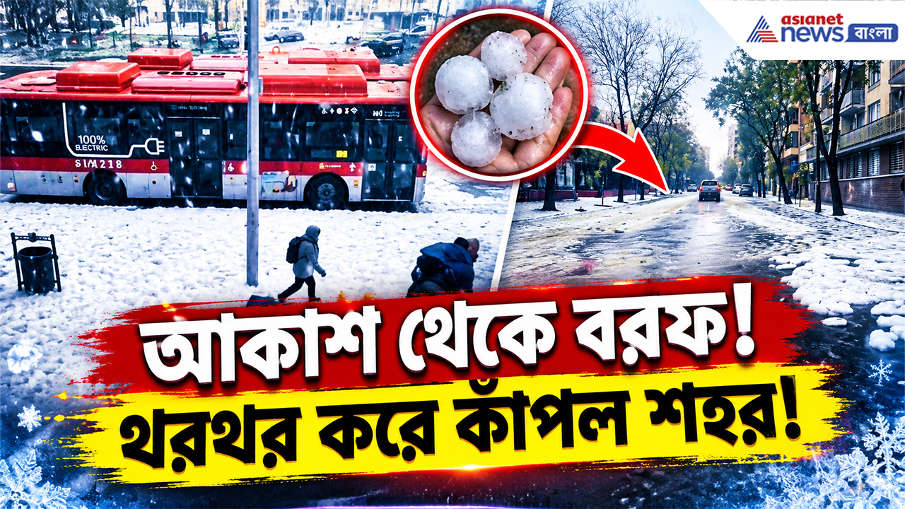 Chile Flood: আকাশ থেকে ঝরল বরফ! চিলিতে প্রবল ঝড়-বৃষ্টি, জারি রেড অ্যালার্ট