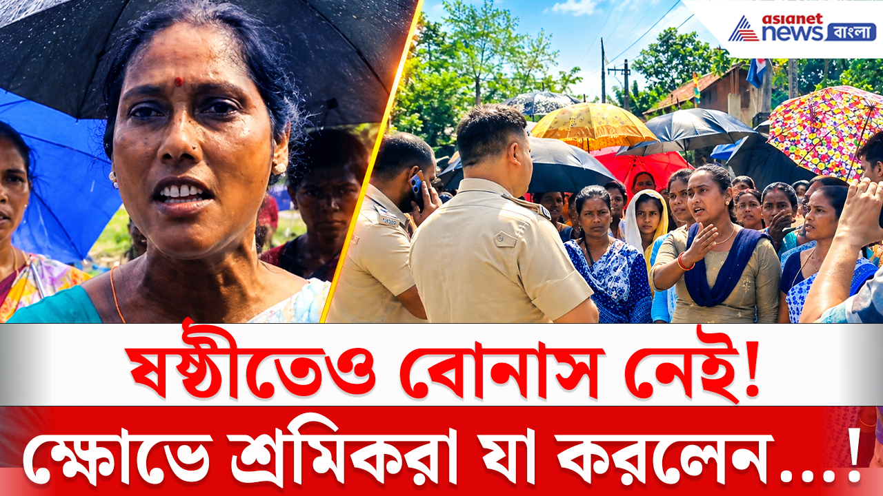 North Bengal: পুজোর মুখেও ২০% বোনাস অধরা! ক্ষোভে ফুঁসছেন চা শ্রমিকরা, মাদারিহাট থানা ঘেরাও