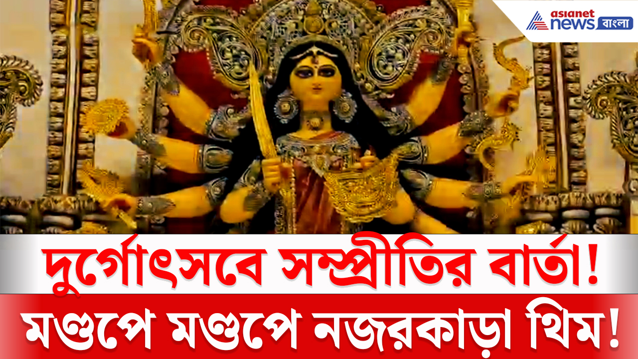 Durga Puja: দুর্গোৎসবে রাজকীয় চমক! বসিরহাটের মণ্ডপে মণ্ডপে উপচে পড়ল দর্শনার্থীদের ভিড়