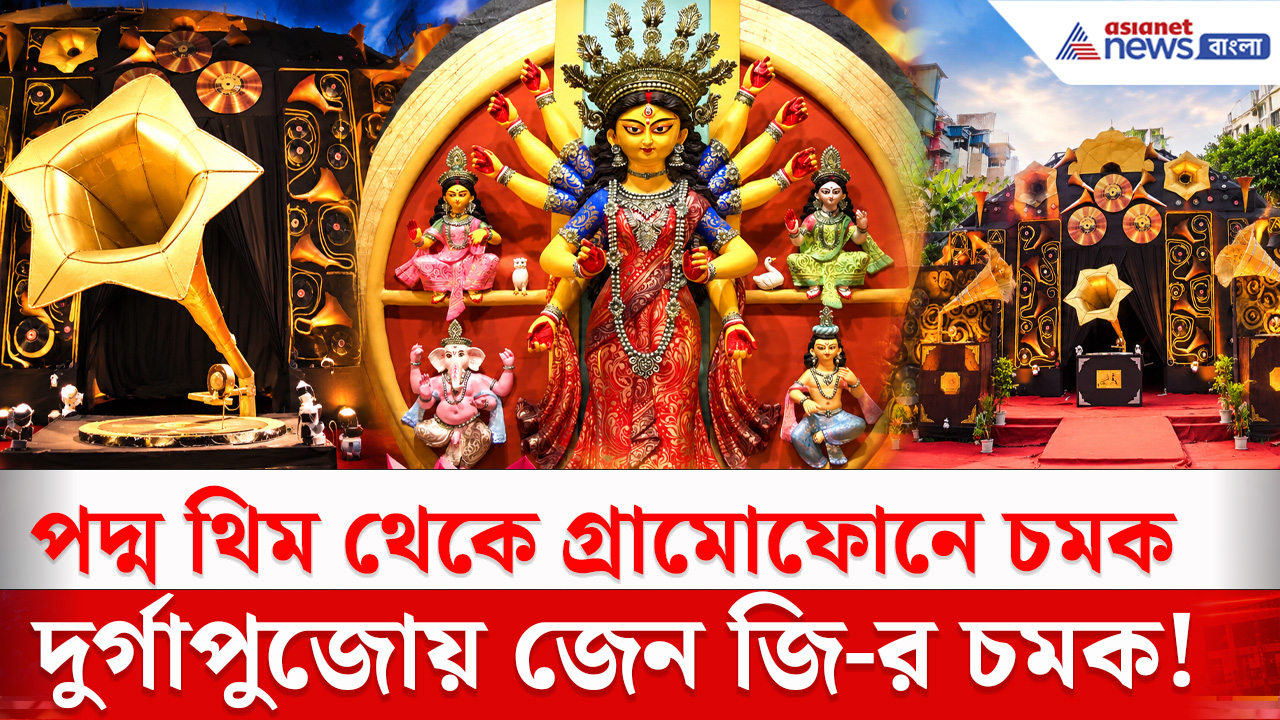 নিউটাউনের দুর্গাপুজোয় জেন জি-র চমক! পদ্ম থিম থেকে গ্রামোফোনে চমক