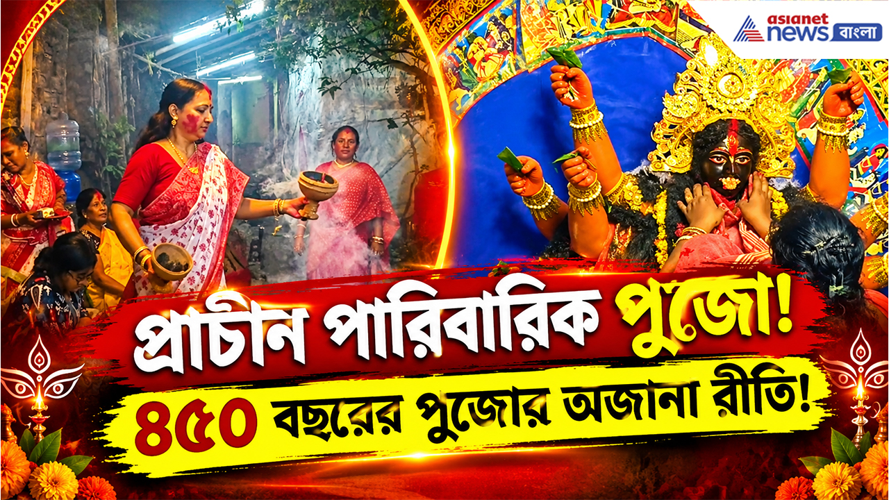 Durga Puja Vijayadashami 2026: দুই দেশের সংস্কৃতির মেলবন্ধন! ক্যানিংয়ের ভট্টাচার্য বাড়ির পুজোয় আজ উমা বিদায়