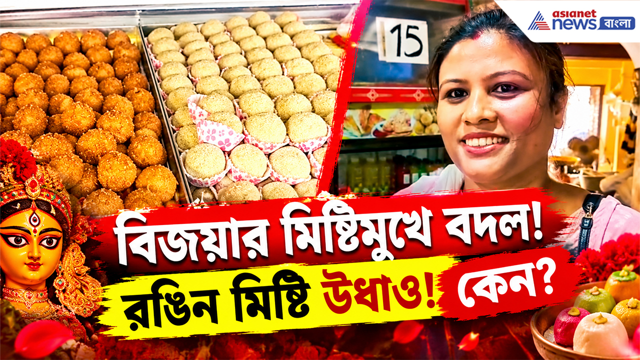 Durga Puja Sweets 2026: বিজয়ায় মিষ্টির দোকানে উধাও রংবেরঙের মিষ্টি! কিন্তু কেন?