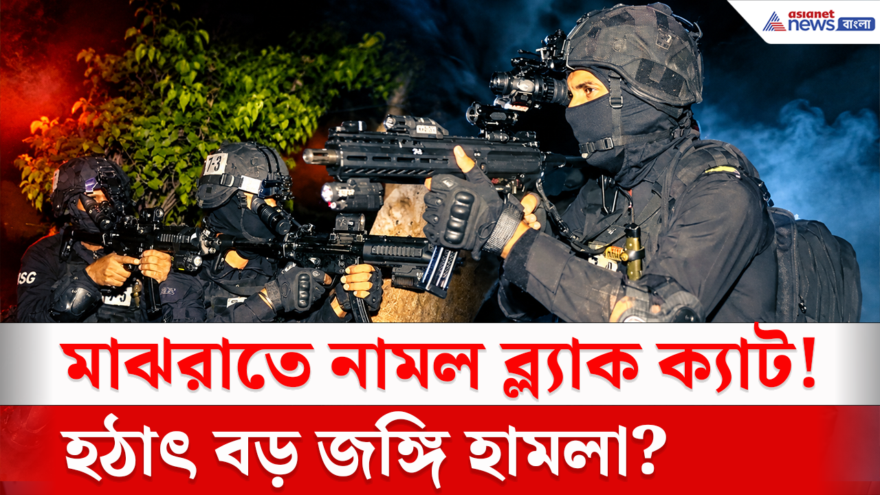 NSG Mock Drill: বিজয়ার রাতে আচমকা NSG-র বড় অভিযান! স্পর্শকাতর এলাকায় জঙ্গি দমনে কী করছে সেনা?