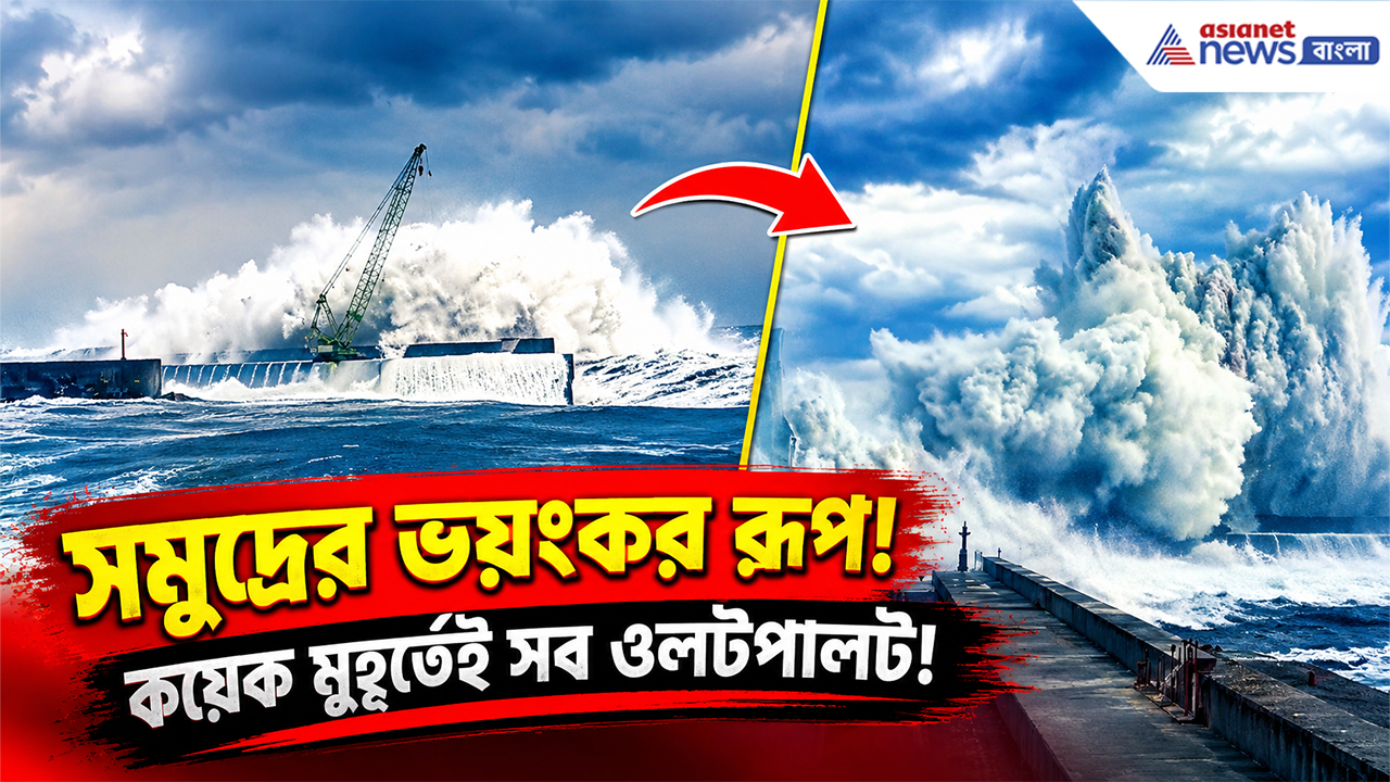 Typhoon Champi Latest Update: টাইফুনের তীব্র তাণ্ডব! বিশাল ঢেউয়ে সমুদ্রে তলিয়ে গেল ক্রেন, ঝড়ে বিপর্যস্ত জনজীবন