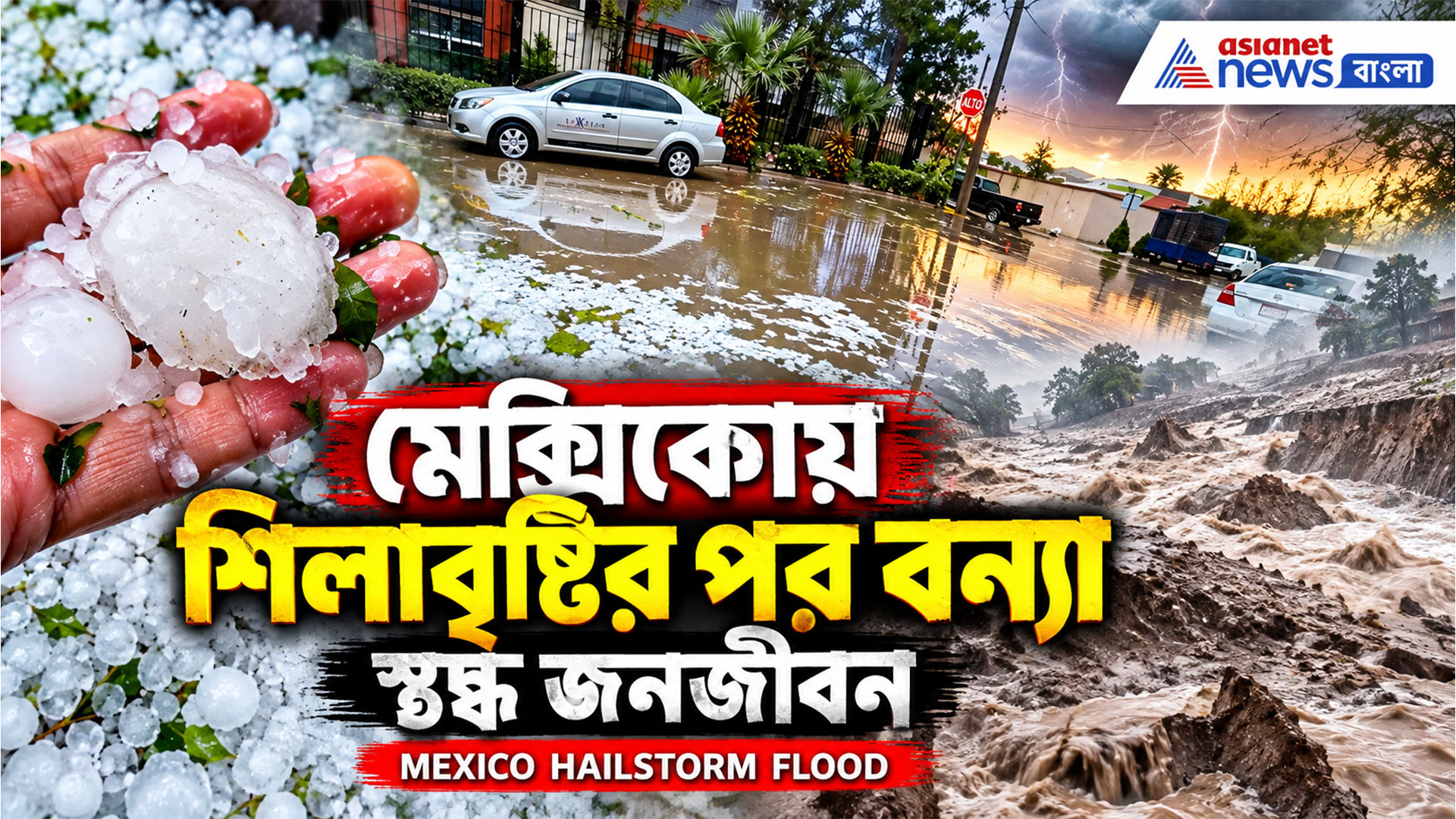 বরফ কুচির বিরল বন্যা মেক্সিকোয়, টানা ৩ ঘণ্টার শিলাবৃষ্টিতে স্তব্ধ জনজীবন। Hailstorm Flood