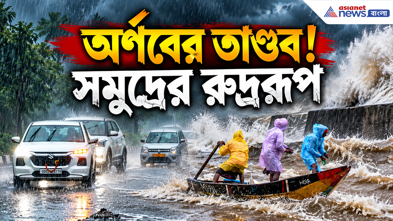 Cyclone Arnab Update: ফুঁসছে সমুদ্র, বন্দরে সারি সারি নৌকা! অর্ণবের প্রভাবে কী অবস্থা গোপালপুরে?