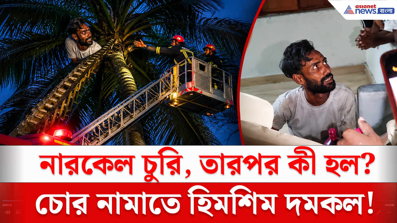 Malda News : চুরি করতে গাছে উঠে আর নামতেই পারল না নারকেল চোর, উদ্ধারে দমকল