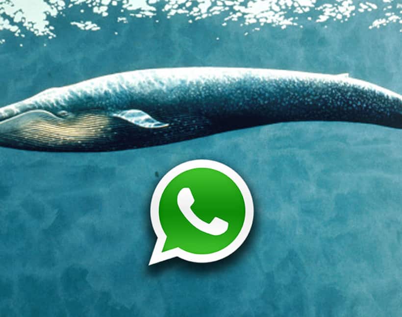 How a WhatsApp status message rescued two Bengaluru students from falling prey to Blue Whale game